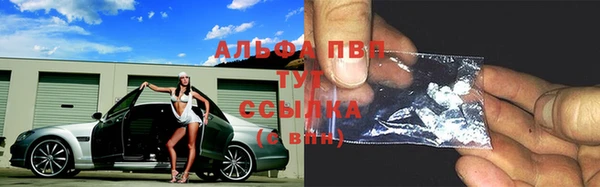 прущие грибы Чердынь