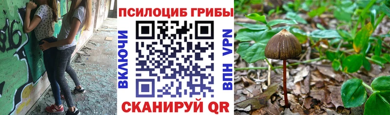 OMG зеркало  что такое наркотик  Тара  даркнет официальный сайт  Галлюциногенные грибы Psilocybe 